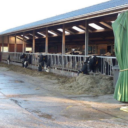 Boerderij "De Verwondering" Goudriaan Dış mekan fotoğraf