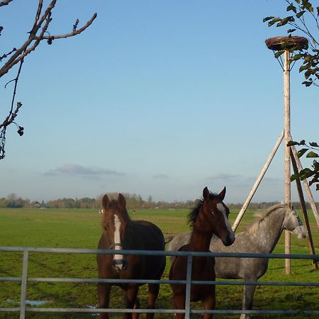 Boerderij "De Verwondering" Goudriaan Dış mekan fotoğraf
