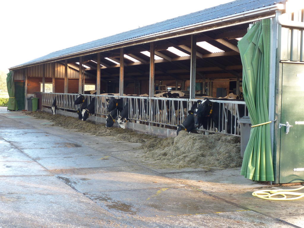 Boerderij "De Verwondering" Goudriaan Dış mekan fotoğraf