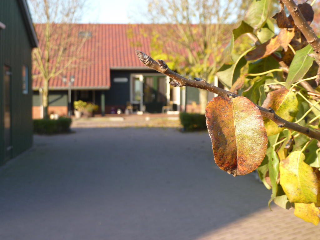 Boerderij "De Verwondering" Goudriaan Dış mekan fotoğraf