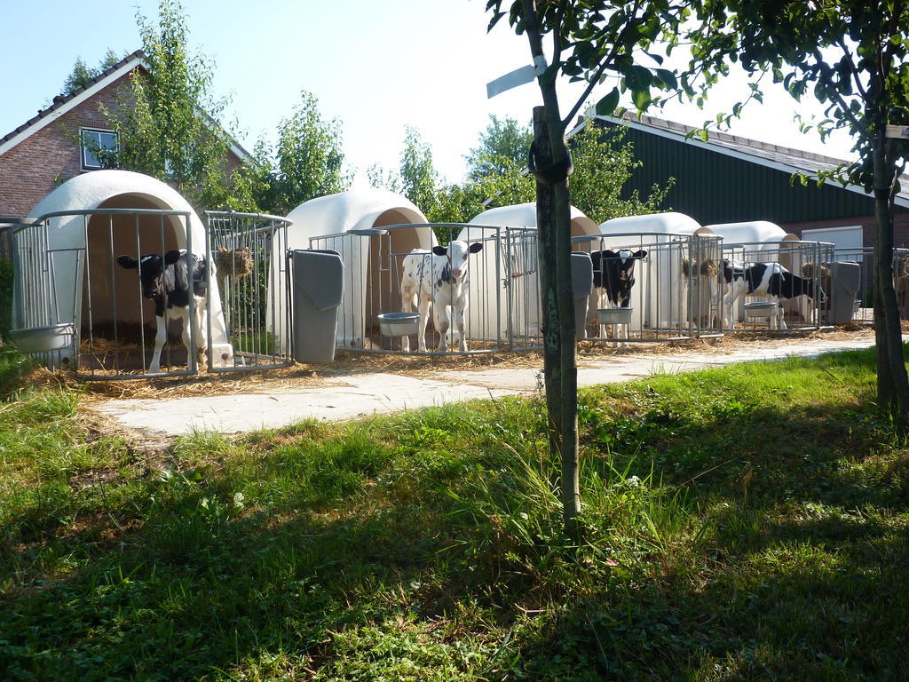 Boerderij "De Verwondering" Goudriaan Dış mekan fotoğraf