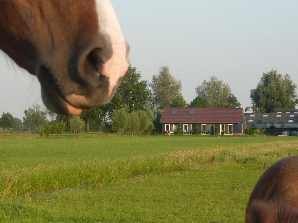 Boerderij "De Verwondering" Goudriaan Dış mekan fotoğraf
